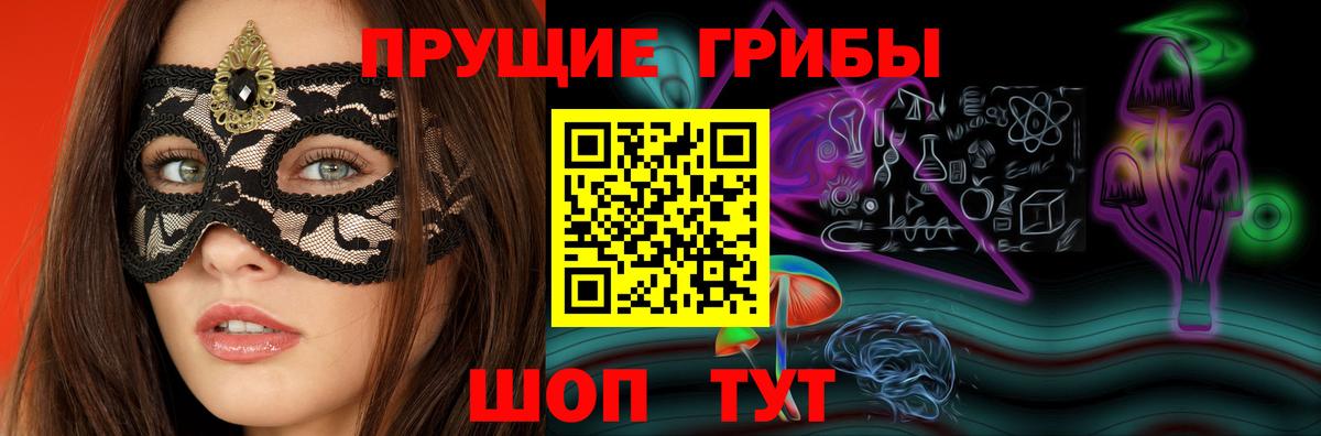 Богородицк  Псилоцибиновые грибы прущие грибы  Вход с VPN 
